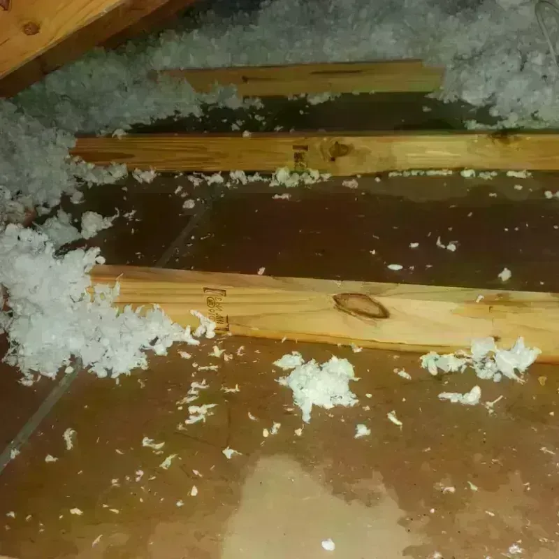 Attic Water Damage in Palmetto, GA