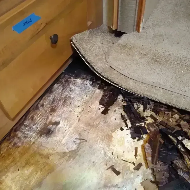 Best Wood Floor Water Damage Service in Palmetto, GA